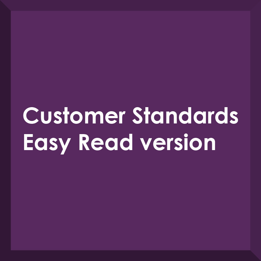 Customer Standards Easy Read
