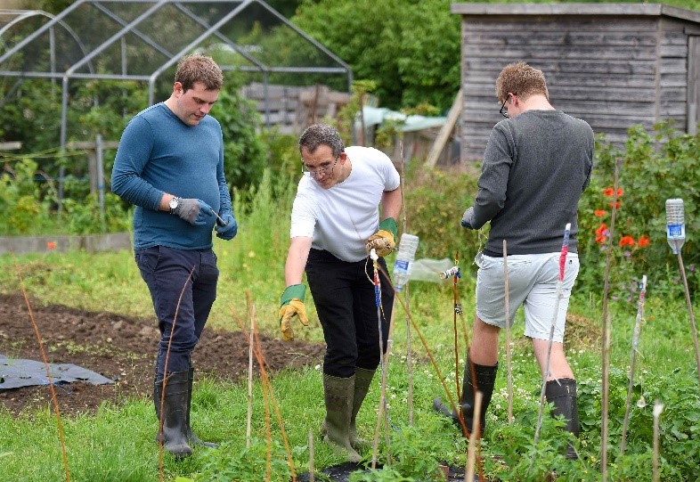 a gardening group at the allotment