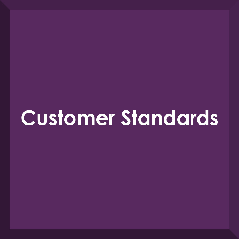 Customer Standards button