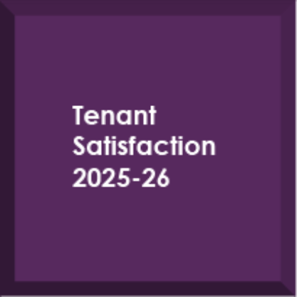 Tenant Satisfaction Plan 2025 to 2026 Button