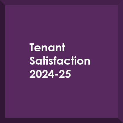Tenant Satisfaction Plan 2024 to 2025 Button