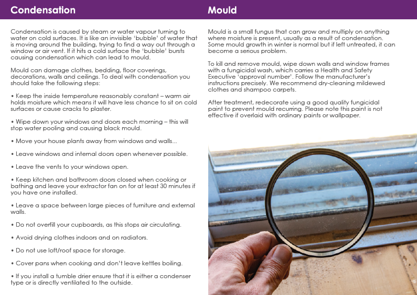 Mould Document Inside