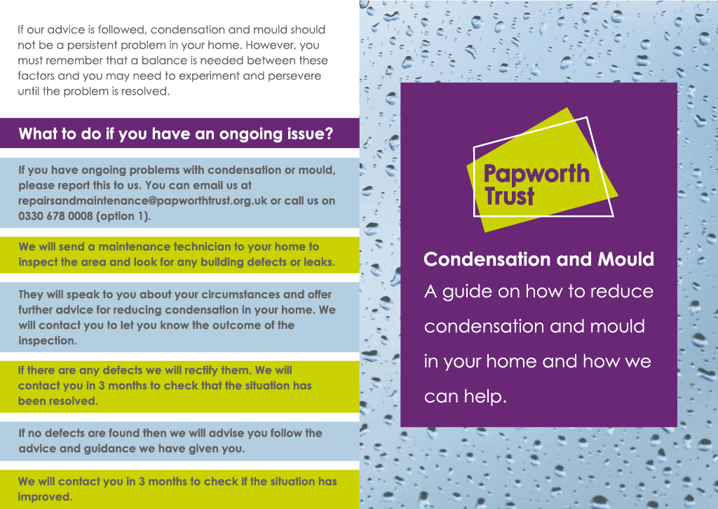 Condensation and mould document
