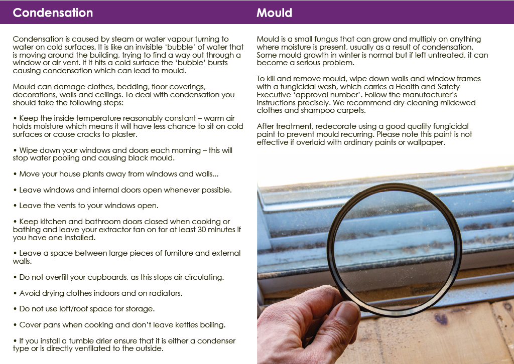 Condensation and mould document