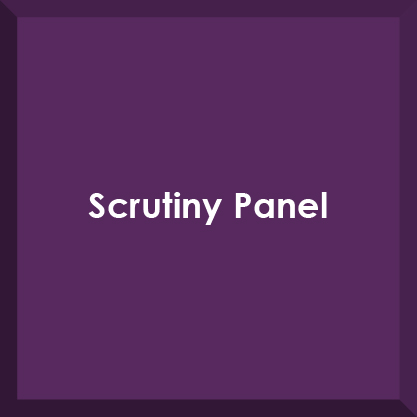 Scrutiny Panel Button